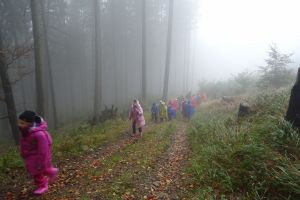 Dsc03328