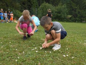 Dscn0754