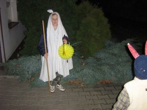 Img 0091