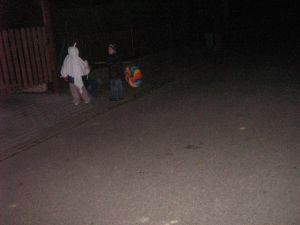 Img 0110