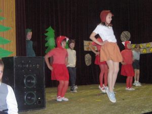 Img 0113 (1024x768)