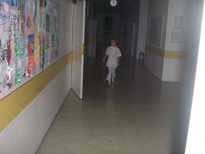 Img 0258