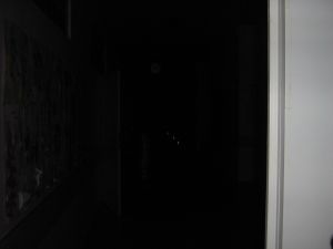 Img 0261