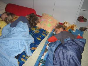 Img 0267