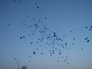 Img 0333