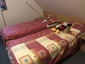 Img 1285