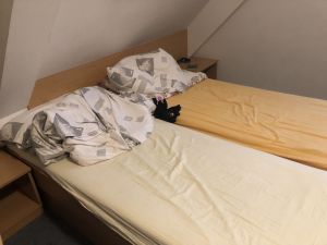 Img 1293