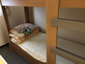 Img 1294