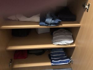 Img 1295