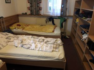 Img 1306